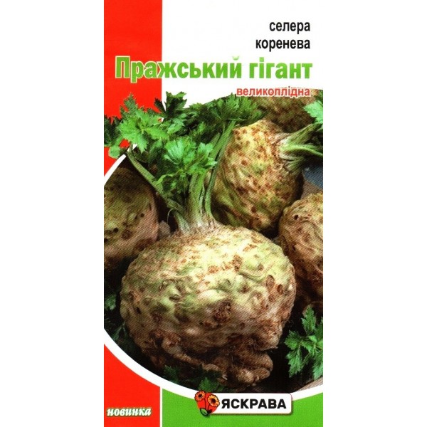 Семена сельдерея корневого Пражский Гигант, 0,2г, ТМ Яскрава